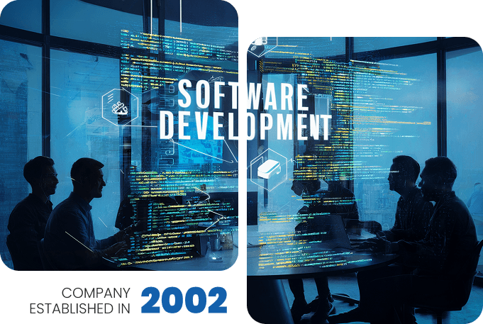 Company Established Year