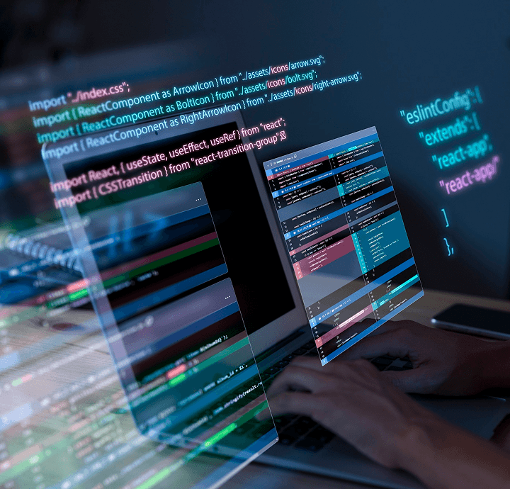 Professional Journey