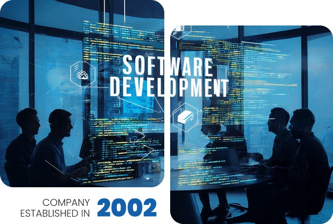 Company Established Year
