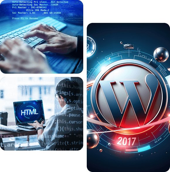 Custom WordPress Plugin Development