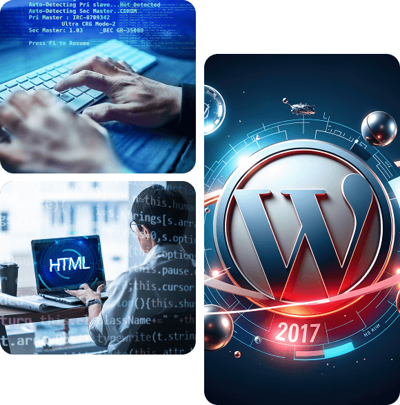 Custom WordPress Plugin Development