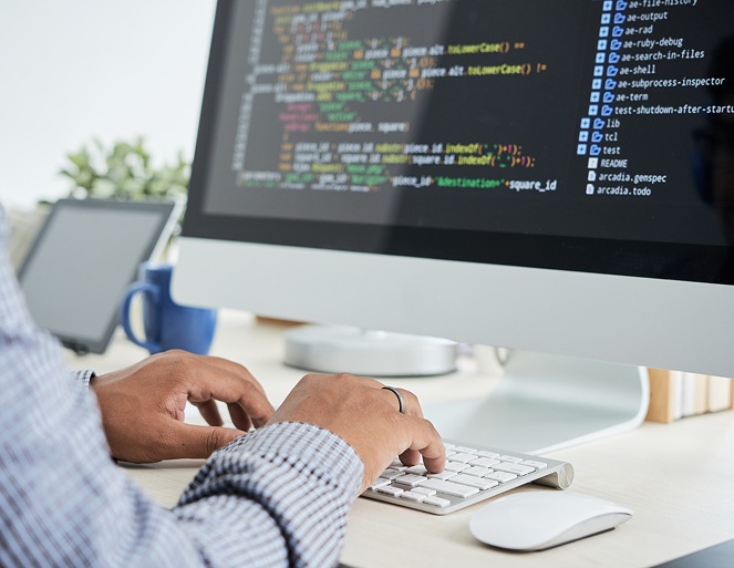 Website Development Consultancy